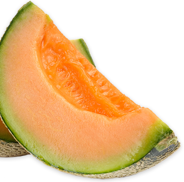 Cantaloupe