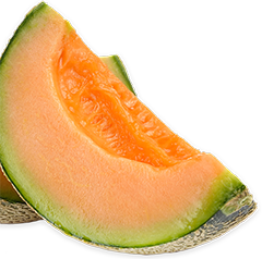 Cantaloupe