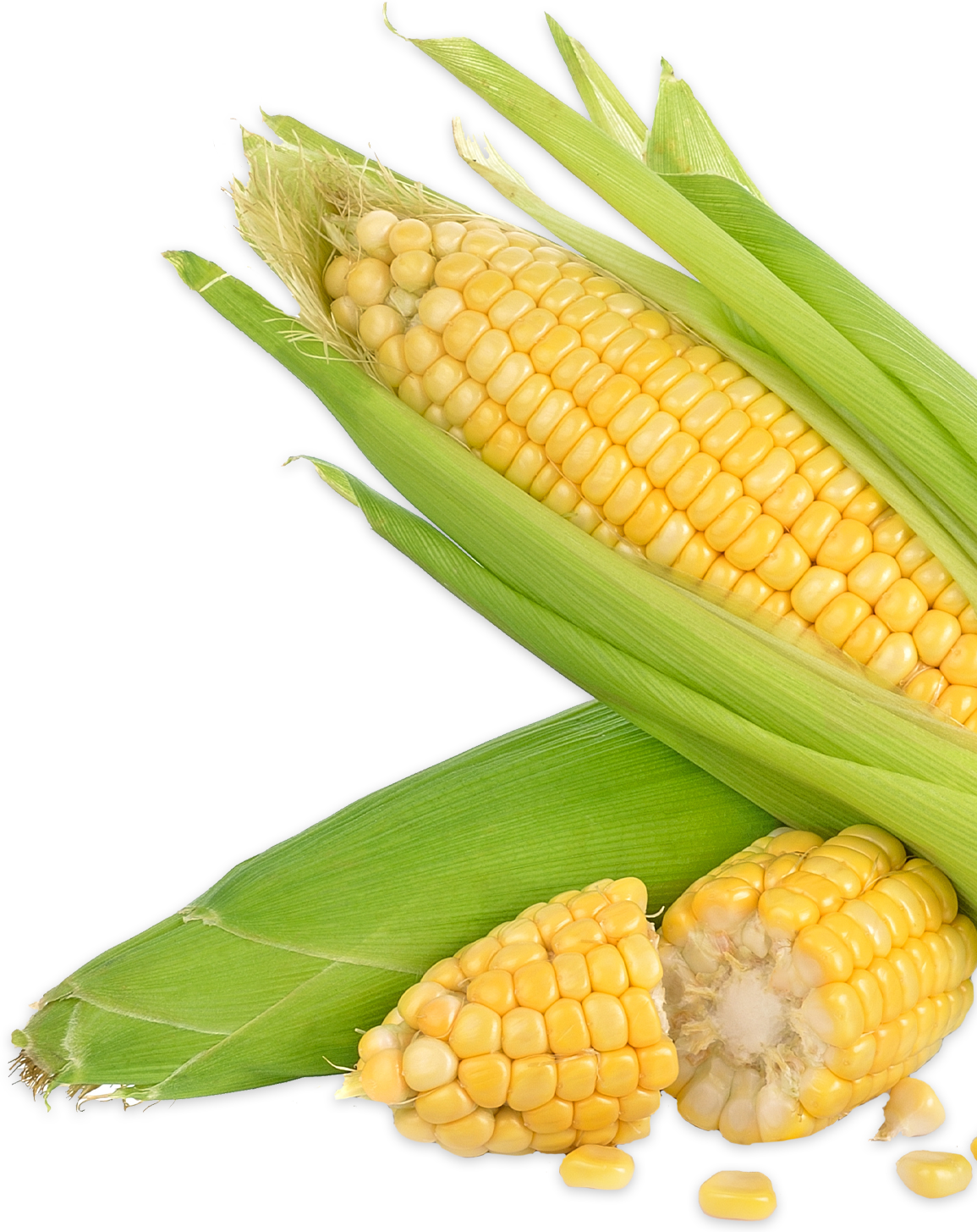 Fresh corn