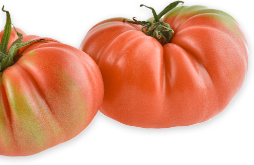 Tomatoes