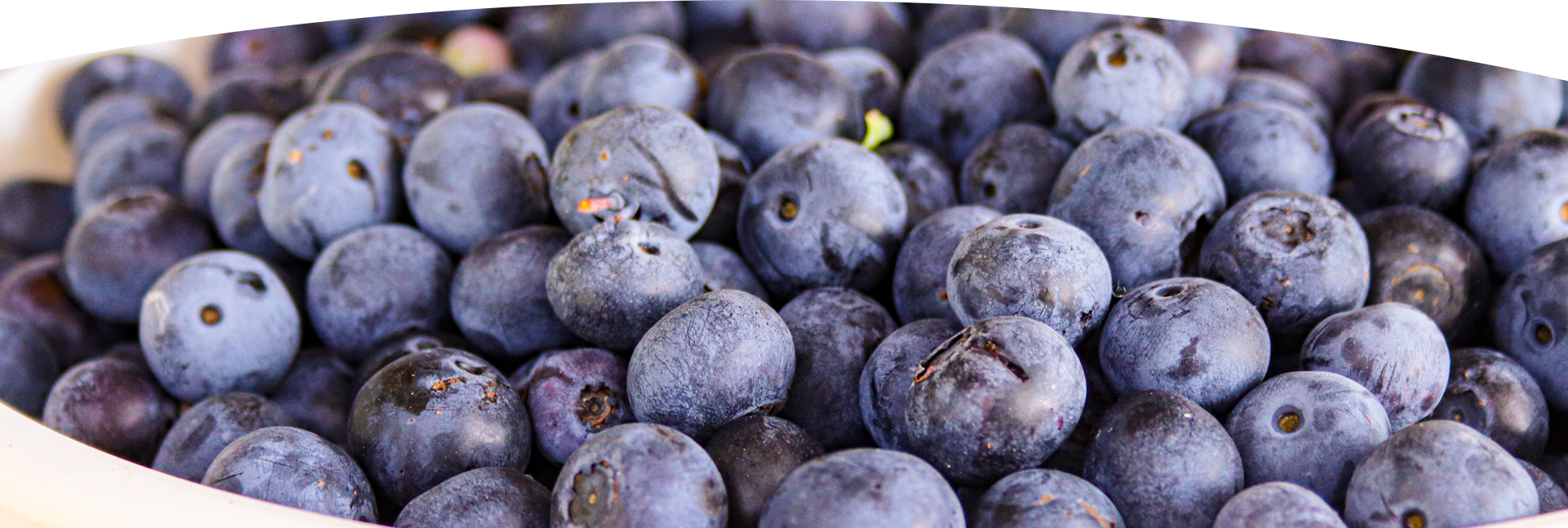 About producedude