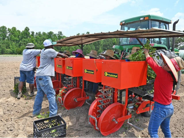 farmersgov-image800x533-dixon-farms-planting-body-image-07-2022