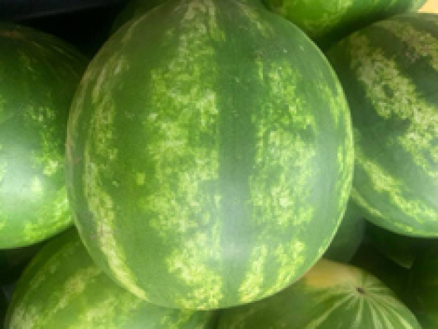 melons